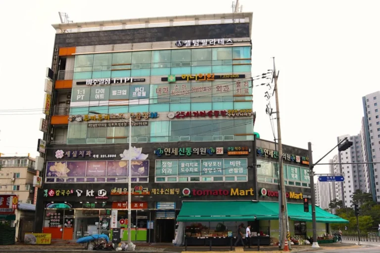 Korean Culture Guide for Students