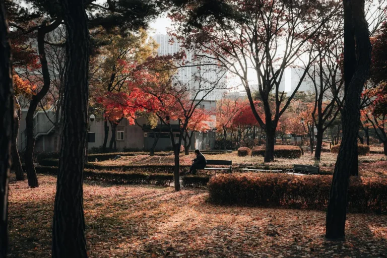 The Specific Tradeoffs of Choosing a Korean University Over Studying Abroad